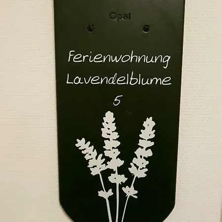 Lavendelblume - 4 Sterne Inklusive Eigene Bikebox Mit Strom - Waeschepaket - Power Wlan - Parkplatz # Bestpreisgarantie # Zingst Exterior foto